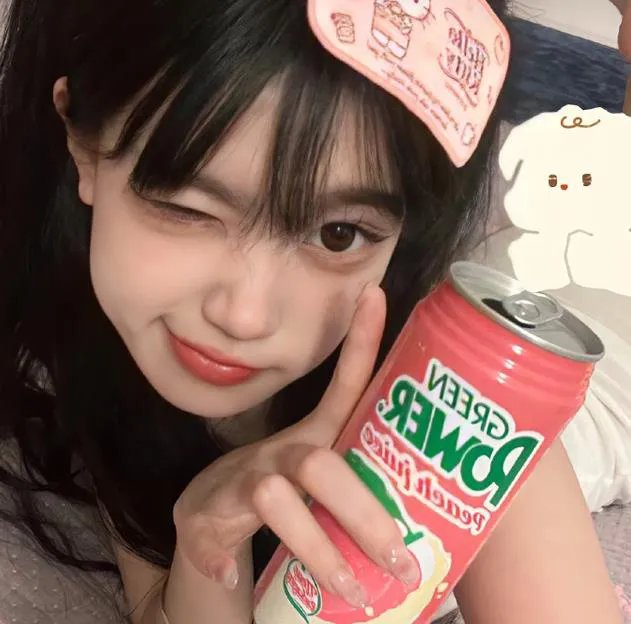 狗狗监护权
